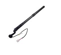 eléctricos portón Trasero Compatible Con Lexus Para NT200 NX300H NX300 2017 2018 2019 2020 2021 Puntales Gas Eléctricos Portón Trasero OEM 68920-79017 68910-79017(Rear Left LH)