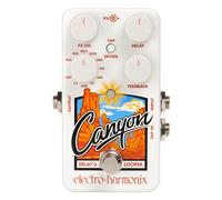 Electro-Harmonix Canyon Retraso & Looper Pedal