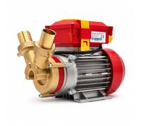 Rover Bomba de agua Hidrobex Rover 30 CE 750 W 4500 L/h para trasiego