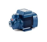 Electrobomba periférica Hp 0,50 kW 0,37 230 V Pkm60 Pedrollo