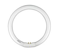ElectroDH Tubo Fluorescente Circular trifósforo T9 22W