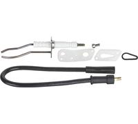 Electrodo de encendido Wolf, 8603061 CGB - Colector de (K) de 20, CGS