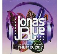 Electronic Nature the Mix