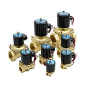 Electroválvula eléctrica de 1/4", 3/8", 1/2", 3/4", DN8/10/15/20/25/50, normalmente cerrada, neumática, for agua, aceite, aire y gas, 12 V, 24 V, 110 V y 220 V(DN10,AC220V)
