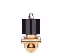 Electroválvula neumática de latón Normalmente Cerrada, DN8, DN10, DN15, DN20, DN25, N/C, for Agua, Aceite y Aire, 12 V/24 V/220 V/110 V(220 V-China,DN08)