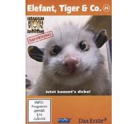 Elefant, Tiger & Co. - Teil 26: Heidi - Jetzt kommt's dicke! [Alemania] [DVD]