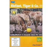 Elefant, Tiger & Co. - Teil 36: Fußballfieber! 11 Freunde müsst ihr sein! [Alemania] [DVD]