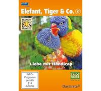 Elefant, Tiger & Co. - Teil 37: Liebe mit Handicap [Alemania] [DVD]