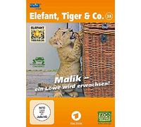 Elefant, Tiger & Co. - Teil 38: Malik - ein Löwe wird erwachsen! [Alemania] [DVD]