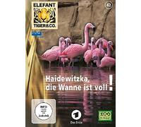 Elefant, Tiger & Co. - Teil 42 - Haidewitzka, die Wanne ist voll [Alemania] [DVD]