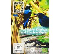 Elefant, Tiger & Co. - Teil 43 - Von kleinen Drachen und Elfenblauvögeln [Alemania] [DVD]