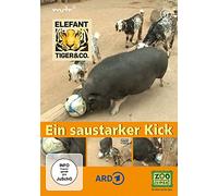 Elefant, Tiger & Co. - Teil 57 - Ein saustarker Kick [Alemania] [DVD]
