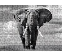 Elefante Pradera Puzzle 2000 Piezas Adultos, Rompecabezas con Letras en la Parte Posterior - Piezas Que Encajan Perfectamente, Reto de Concentración, Regalo para Mujer y Decor, 99.5 x 70.5 cm w0-116
