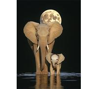 Elefante Puzzle de 3000 Piezas para Adultos, Puzzle Luna Rompecabezas Adultos Pieza de Madera Juegos, Obra de Arte de Juego de Rompecabezas, Decoración del Hogar Regalos Regalos 122x81cm g-600