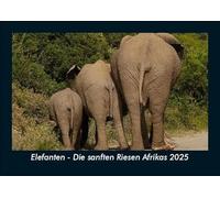 Elefanten - Die sanften Riesen Afrikas 2025 Fotokalender DIN A5: Monatskalender mit Bild-Motiven von Haustieren, Bauernhof, wilden Tieren und Raubtieren
