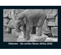 Elefanten - Die sanften Riesen Afrikas 2026 Fotokalender DIN A5: Monatskalender mit Bild-Motiven von Haustieren, Bauernhof, wilden Tieren und Raubtieren