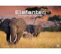 Elefanten - einzigartige Giganten - 2027 - Kalender DIN A3: Der Wandkalender mit den schönsten Elefant-Motiven für das Jahr 2027 im Format DIN A3 (ca. 42 x 30 cm)!