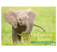 Elefanten Kinder: Winzlinge im Land der Riesen (Wandkalender 2026 DIN A2 quer), CALVENDO Monatskalender: Afrikanische Elefantenbabys spielen im Schutz Ihrer Herde