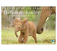 Elefantenkinder: Winzlinge im Land der Riesen (Tischkalender 2026 DIN A5 horizontal), CALVENDO Monatskalender: Afrikanische Elefantenbabys spielen im Schutz Ihrer Rodde (CALVENDO Tiere)