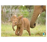 Elefantenkinder: Winzlinge im Land der Riesen (Wandkalender 2026 DIN A3 horizontal), CALVENDO Monatskalender: Afrikanische Elefantenbabys spielen im Schutz Ihrer Rodde (CALVENDO Tiere)