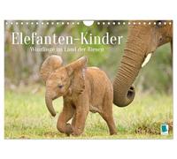 Elefantenkinder: Winzlinge im Land der Riesen (Wandkalender 2026 DIN A4 horizontal), CALVENDO Monatskalender: Afrikanische Elefantenbabys spielen im Schutz Ihrer Rodde (CALVENDO Tiere)
