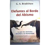 Elefantes al borde del abismo