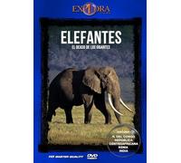 Elefantes, El Ocaso de los Gigantes [DVD]