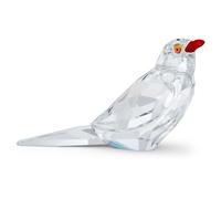 Elegance of Africa Pieza de Eventos SCS Picabuey Kali OS