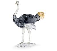 Elegance of Africa SCS Avestruz Makena OS