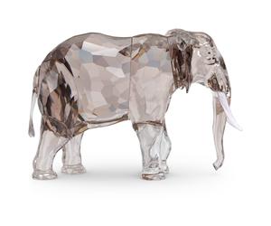 Elegance of Africa SCS Edición Anual 2022 Elefante Fayola OS