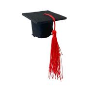 Elegante accesorio de clip para el pelo para sombrero de graduación, fácil de usar, clip de pico de pato para entusiastas de la cabeza