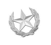 Elegante broche de metal con orejas de trigo y estrella, pieza de joyería simbólica, broche de estrella de trigo para uso casual o formal, insignia multiusos, Large, como se describe