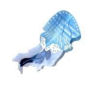 Elegante clip para el cabello de acetato de medusas accesorio para el cabello elegante tocado fácil de usar para agregar encanto a cualquier atuendo