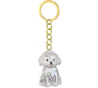 Elegante llavero conmemorativo de pérdida de mascotas con cámara de almacenamiento visible para el pelo y caja de durabilidad, llavero de almacenamiento impermeable para perro, llavero de memoria para