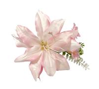 Elegante pinza de pelo de resina para mujer, adorno de pelo de moda que eleva tu aspecto con este elegante accesorio