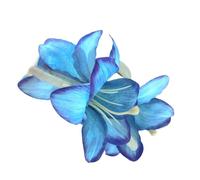 Elegante pinza para el pelo con diseño de flores, pinza de agarre fuerte con abrazadera acrílica para mujeres de todas las edades