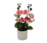 Elegante planta de simulación de bonsái para interiores, orquídea Phalaenopsis realista para decoración del hogar y la oficina (rojo rosa)