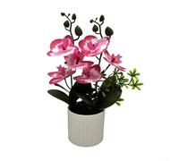 Elegante planta de simulación de bonsái para interiores, orquídea Phalaenopsis realista para decoración del hogar y la oficina (rosa)