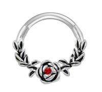 Elegantes anillos de tabique de cristal de acero inoxidable en tono plateado, para piercing de oreja, joyería de moda para el cuerpo, tabique plateado, talla única, como se describe, como se describe