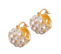 Elegantes aretes de aro de circonita para mujer, con incrustaciones de circonita en forma de canasta, hebillas de oreja, accesorios de joyería ligeros, joyería de moda, talla única, como se describe