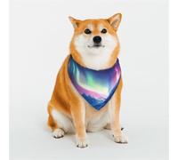 Elegantes bandanas para perro, patrones para San Valentín, cumpleaños y más, ropa de poliéster suave para mascotas, luces del norte en las montañas de los Andes, talla L