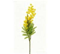 Elegantes flores de acacia de seda para decoración del hogar, centro de mesa, compatible con varios estilos de jarrón y temas interiores