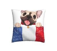 Elegantes Funda De Almohada Bulldog Francés Sostiene Una Bandera Francesa 45X45Cm, Fundas De Almohada Antiarrugas Fundas De Cojín para Coche Dormitorio Hogar