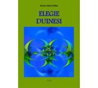 Elegie Duinesi (ebook)