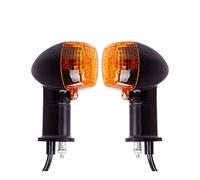 ELEKMPMGTD Para ZX-9R ZX-6R ZX-7R ZX-10R ZX-12R ZX12R Para Ninja Luz Señal Giro Delantera Luz Indicadora Intermitente(TRASERO)