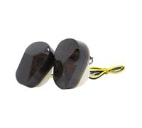 ELEKMPMGTD Para ZX6R ZX7R ZX9R ZX636 ZZR600 ZX12R Lámpara Esquina Luz Giro Motocicleta Indicador Intermitente(Fumar)