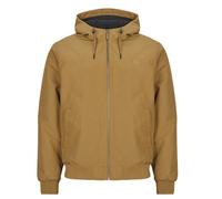 Element Cazadora DULCEY in Beige EU M