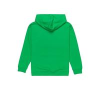 Element - Skateboard Co Po Y Forro Polar, Chicos, Kelly Green, 16 años