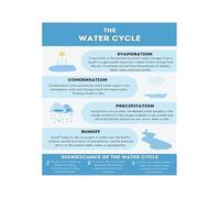 Elementary Science Poster Water Cycle Process Labeled Diagram For Homeschool Kindergarten First Grade Classroom Decor(Framed,16X24inch(40X60cm))