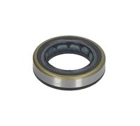 Elemento, bomba en línea BOSCH H 146 601 070K